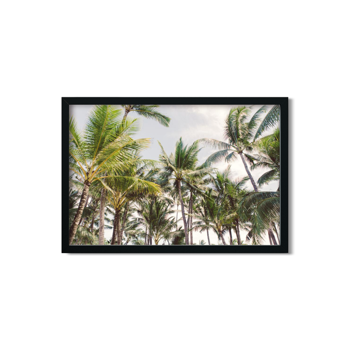 HAWAIIAN PALM TREES NO. 10