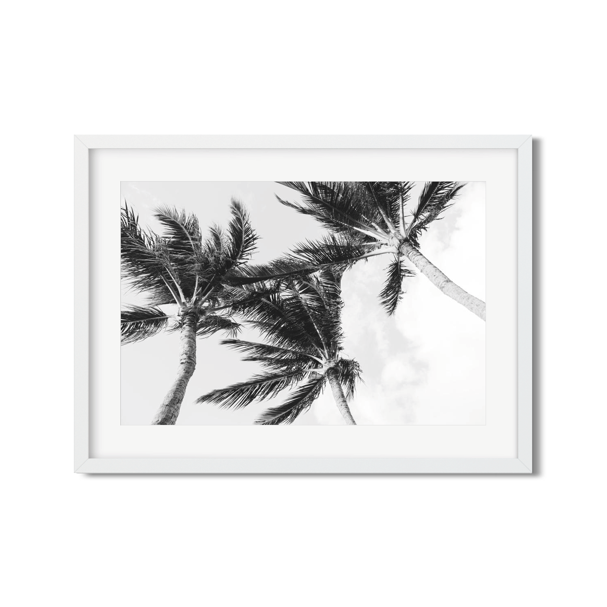 HAWAIIAN PALM TREES NO. 11