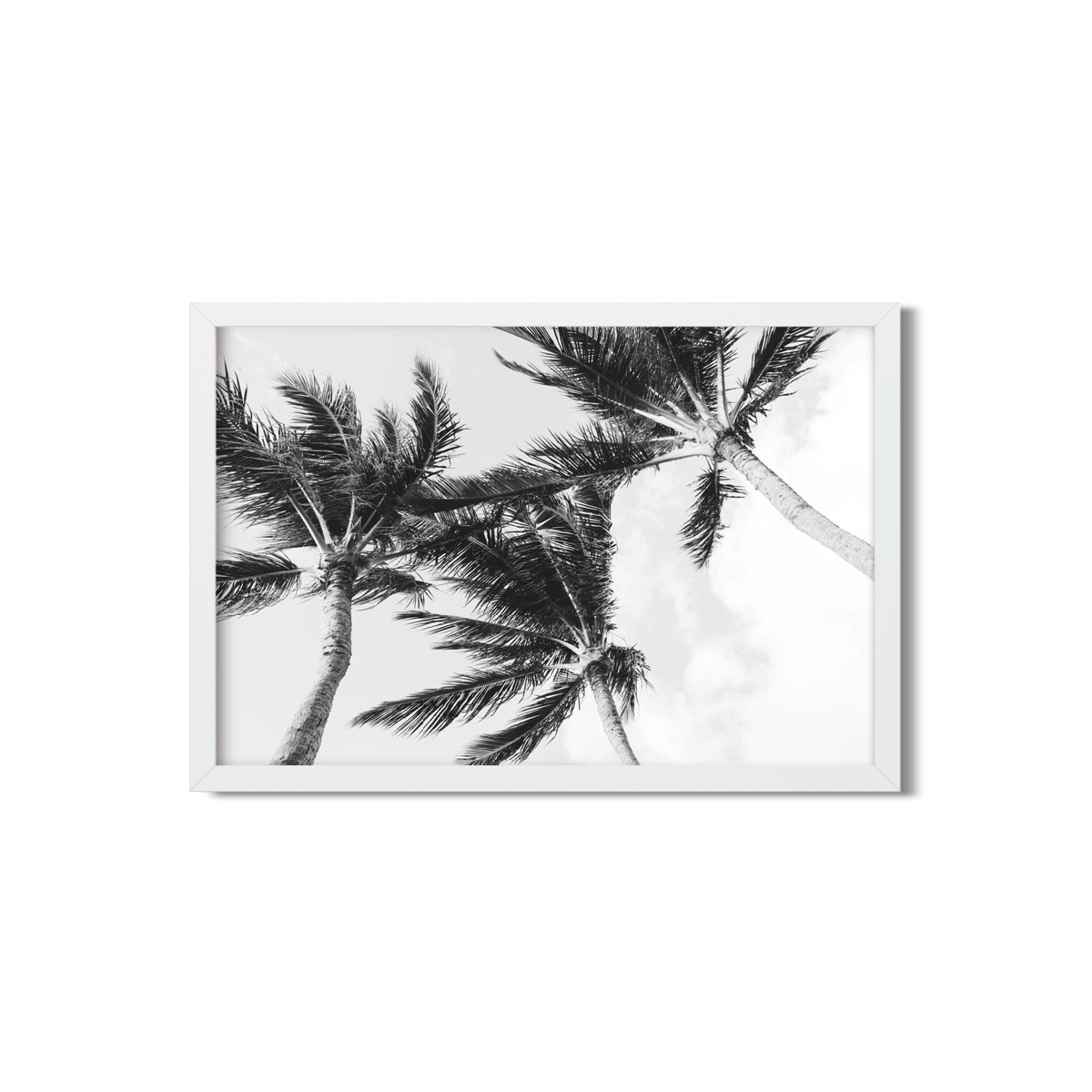 HAWAIIAN PALM TREES NO. 11