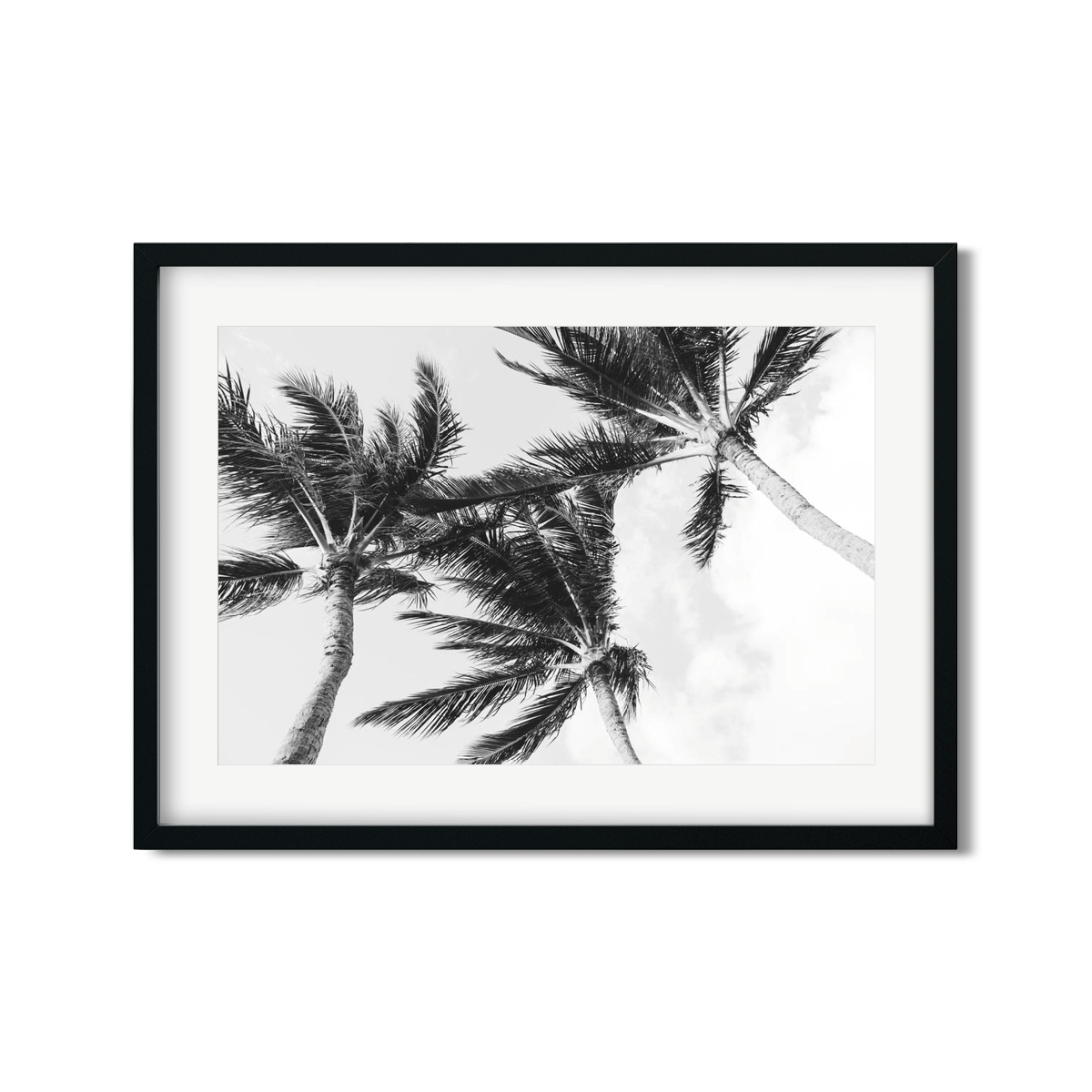 HAWAIIAN PALM TREES NO. 11