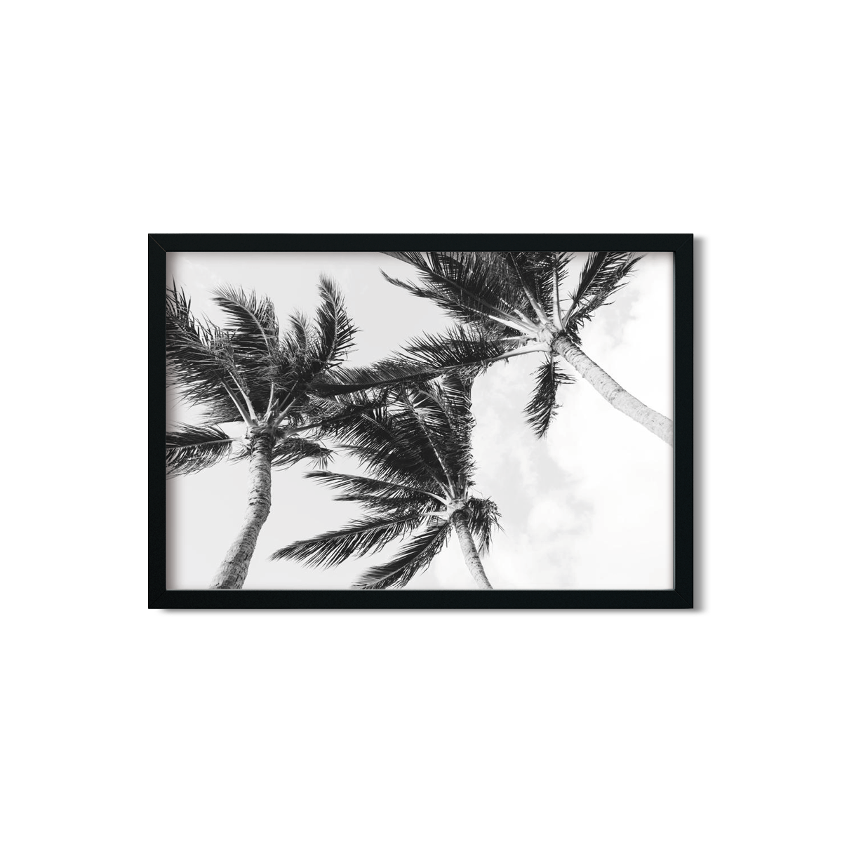 HAWAIIAN PALM TREES NO. 11