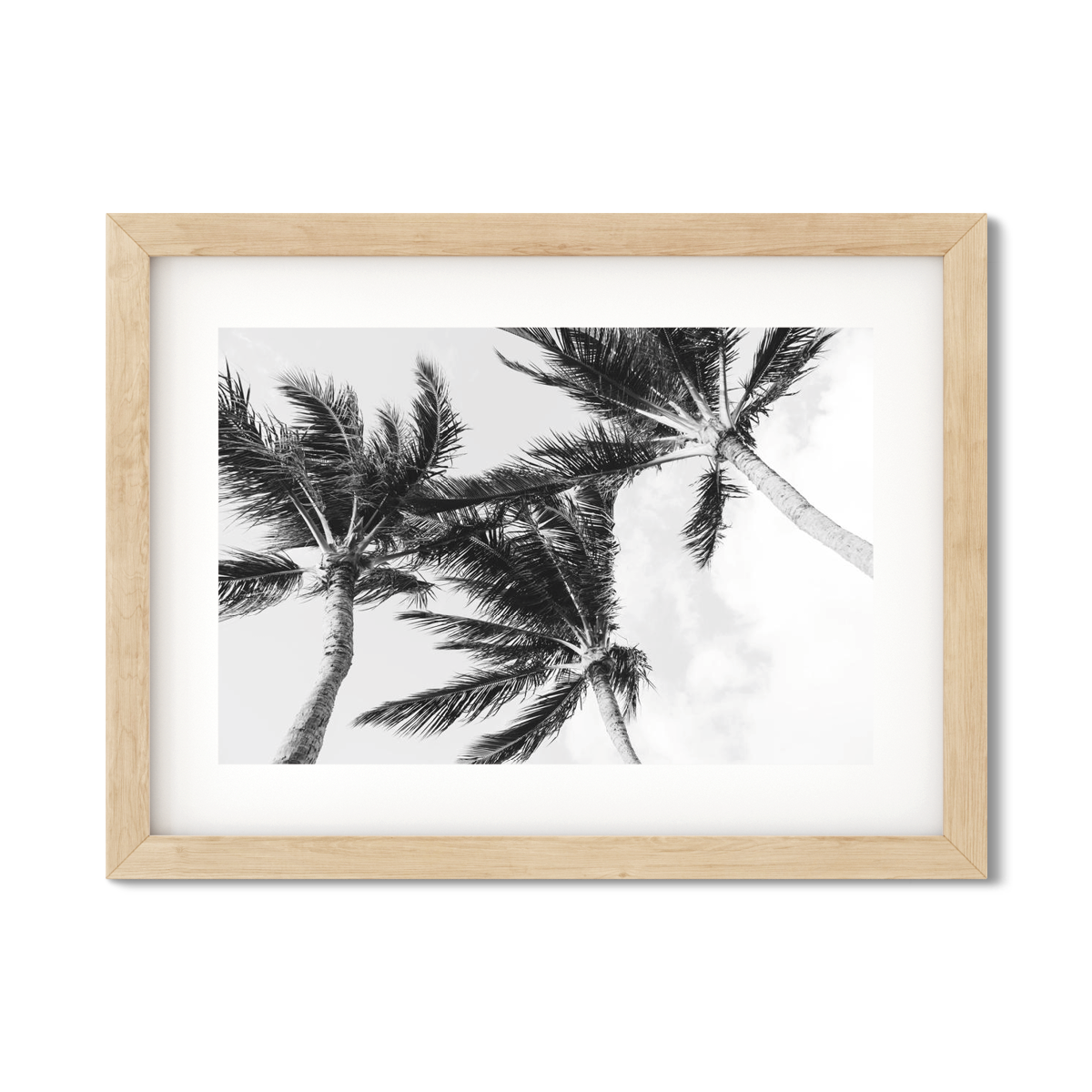 HAWAIIAN PALM TREES NO. 11