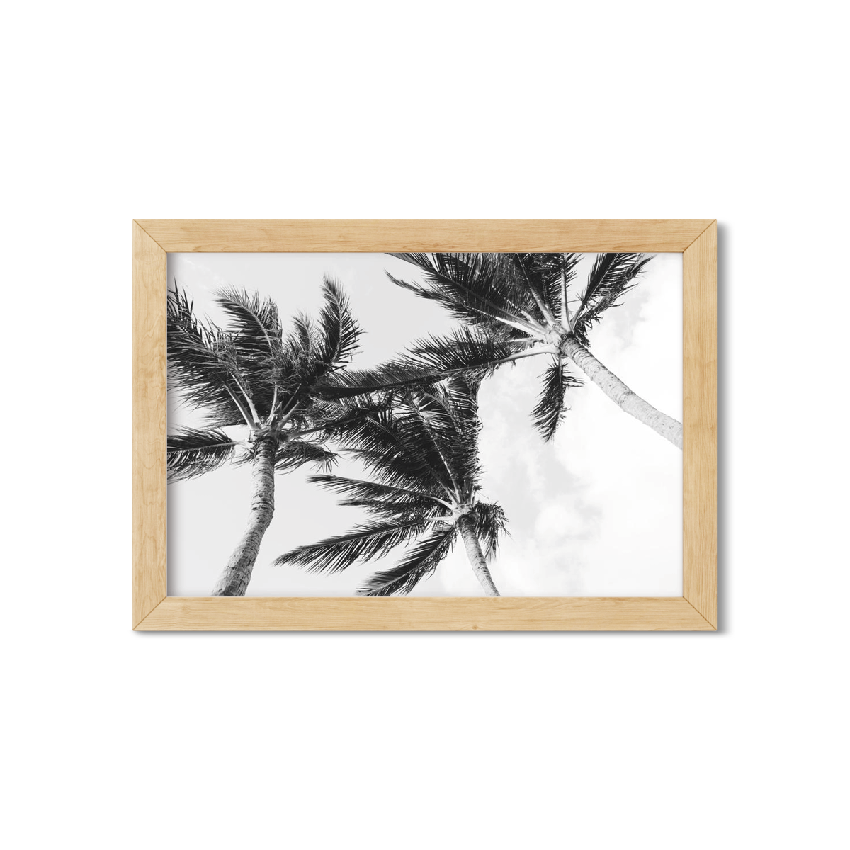 HAWAIIAN PALM TREES NO. 11