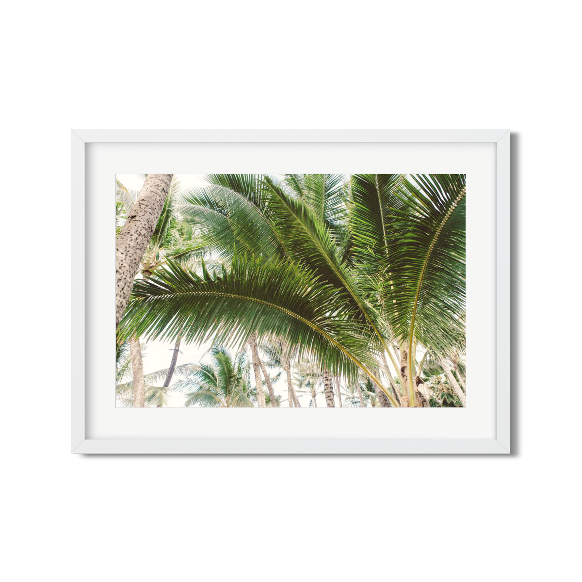 HAWAIIAN PALM TREES NO. 12