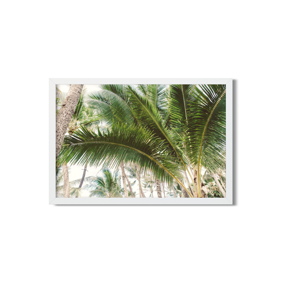 HAWAIIAN PALM TREES NO. 12