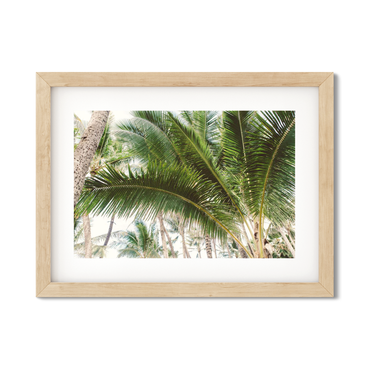 HAWAIIAN PALM TREES NO. 12