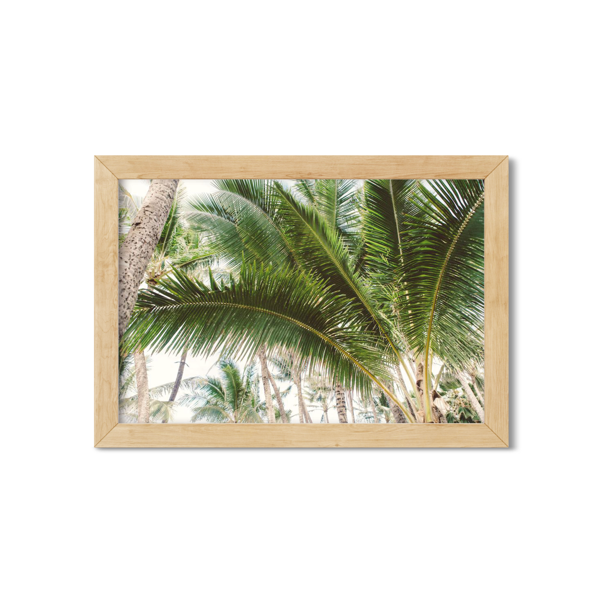 HAWAIIAN PALM TREES NO. 12