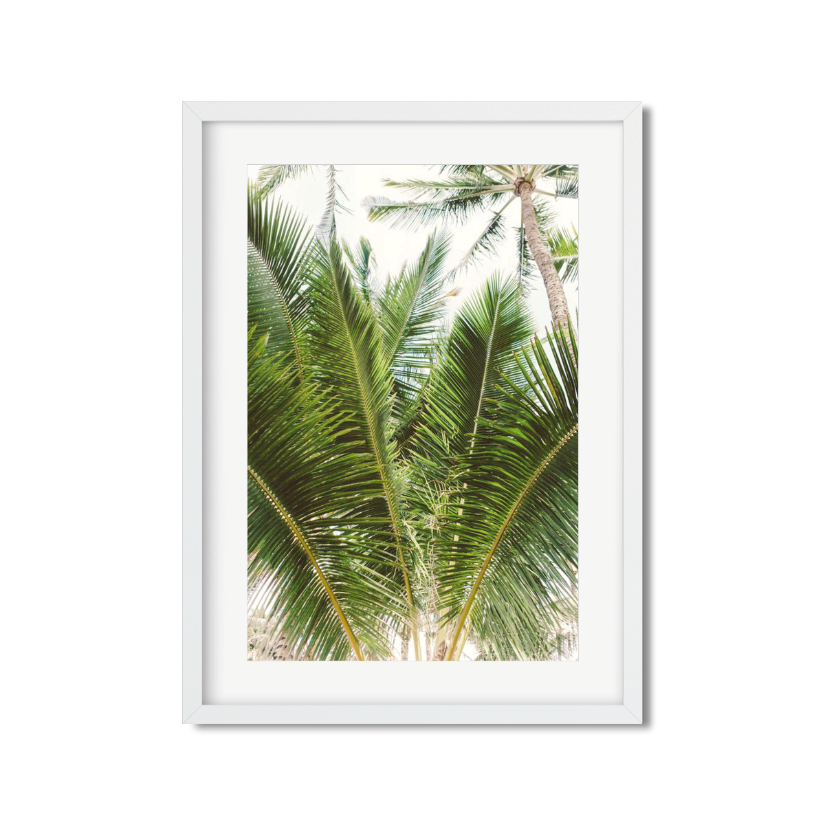 HAWAIIAN PALM TREES NO. 13