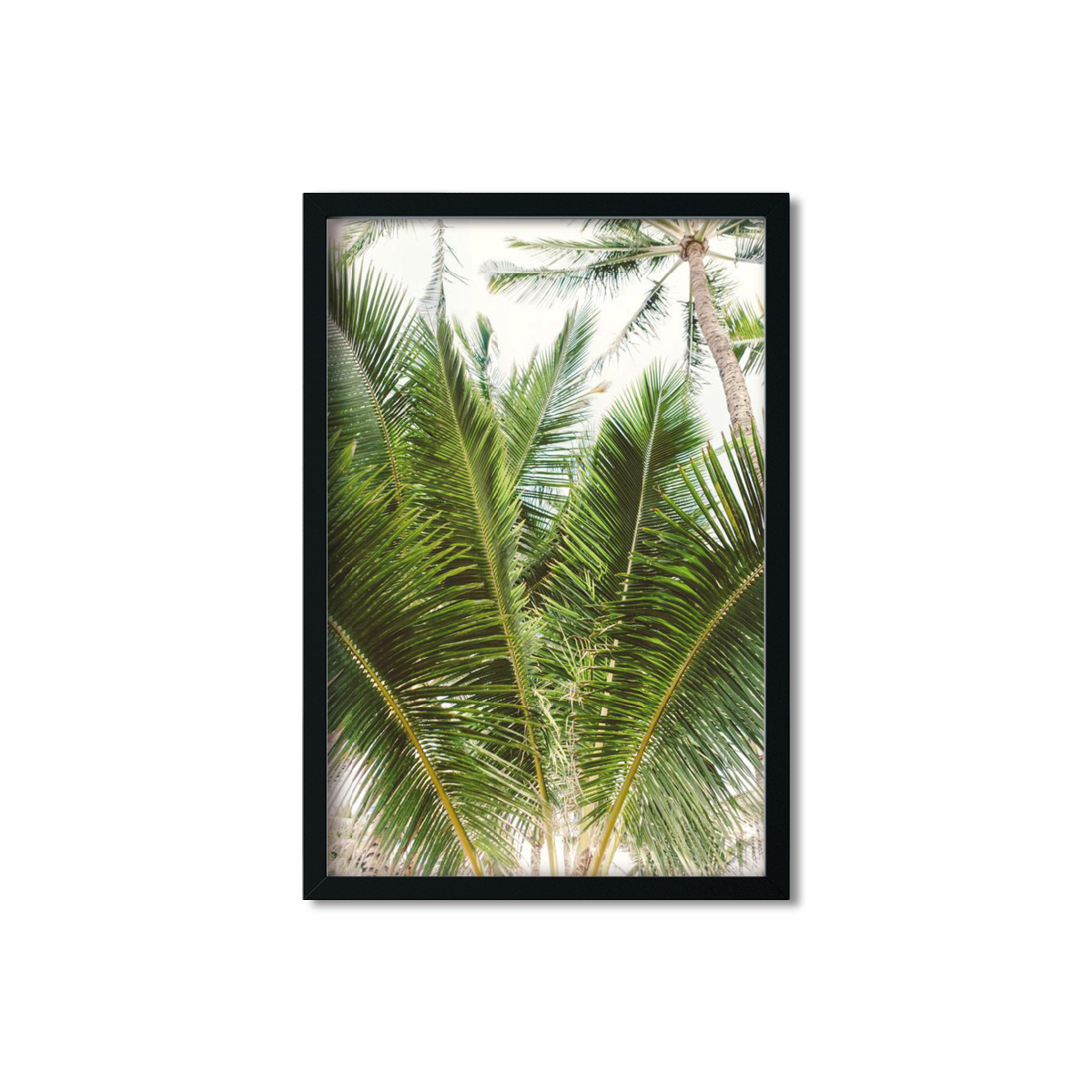 HAWAIIAN PALM TREES NO. 13