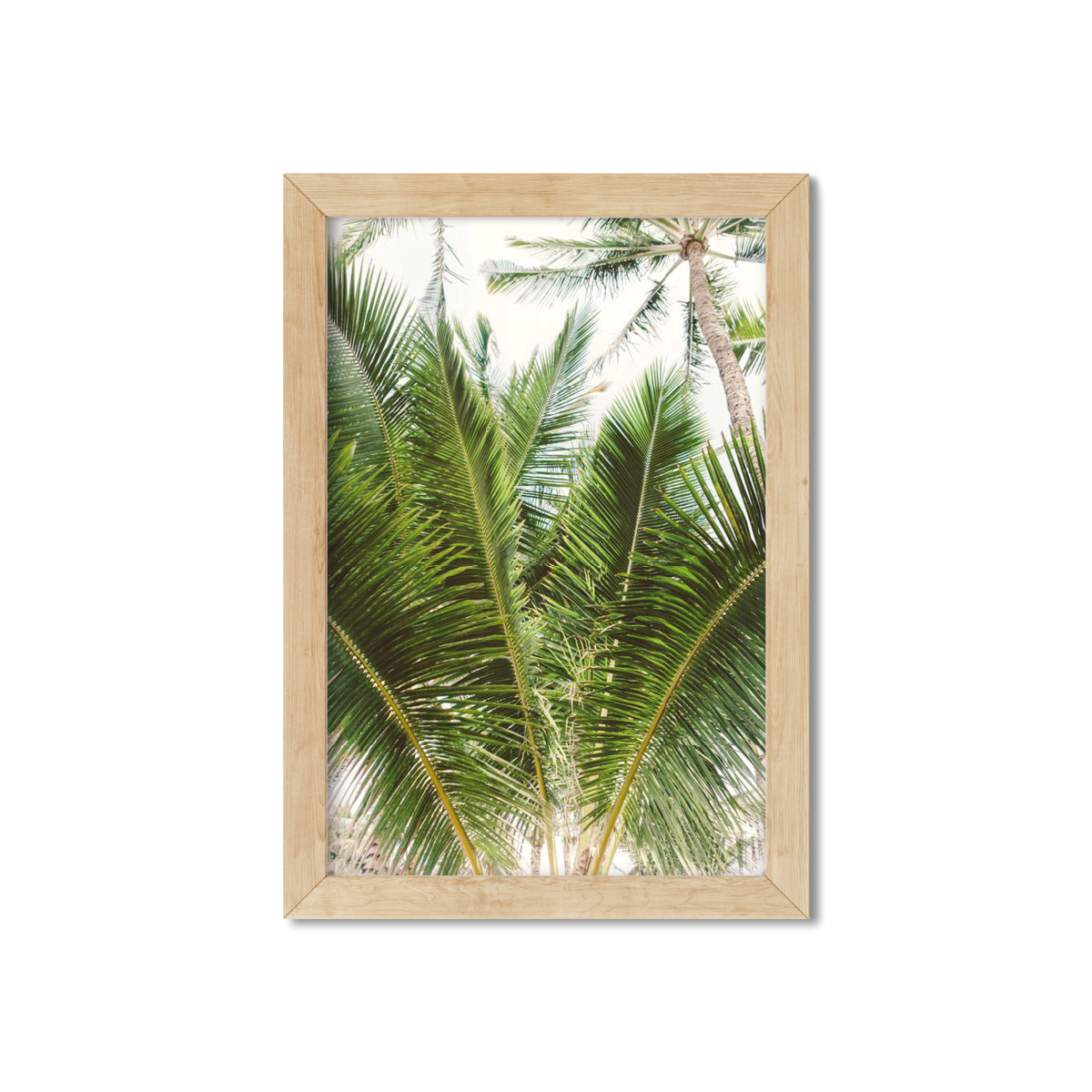 HAWAIIAN PALM TREES NO. 13