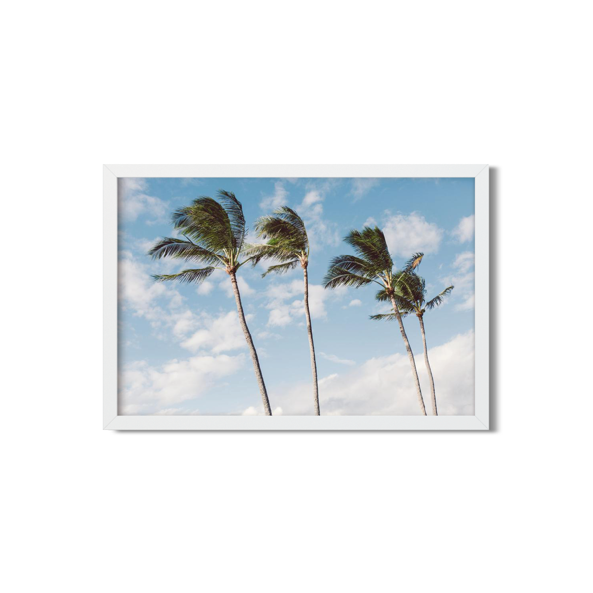 HAWAIIAN PALM TREES NO. 14