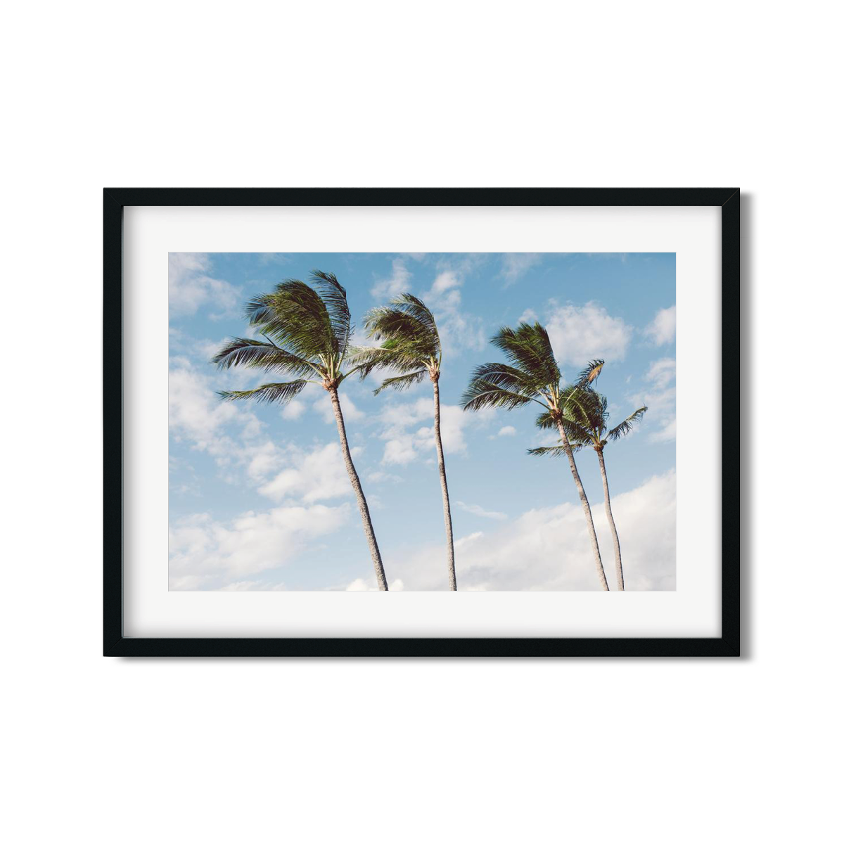HAWAIIAN PALM TREES NO. 14