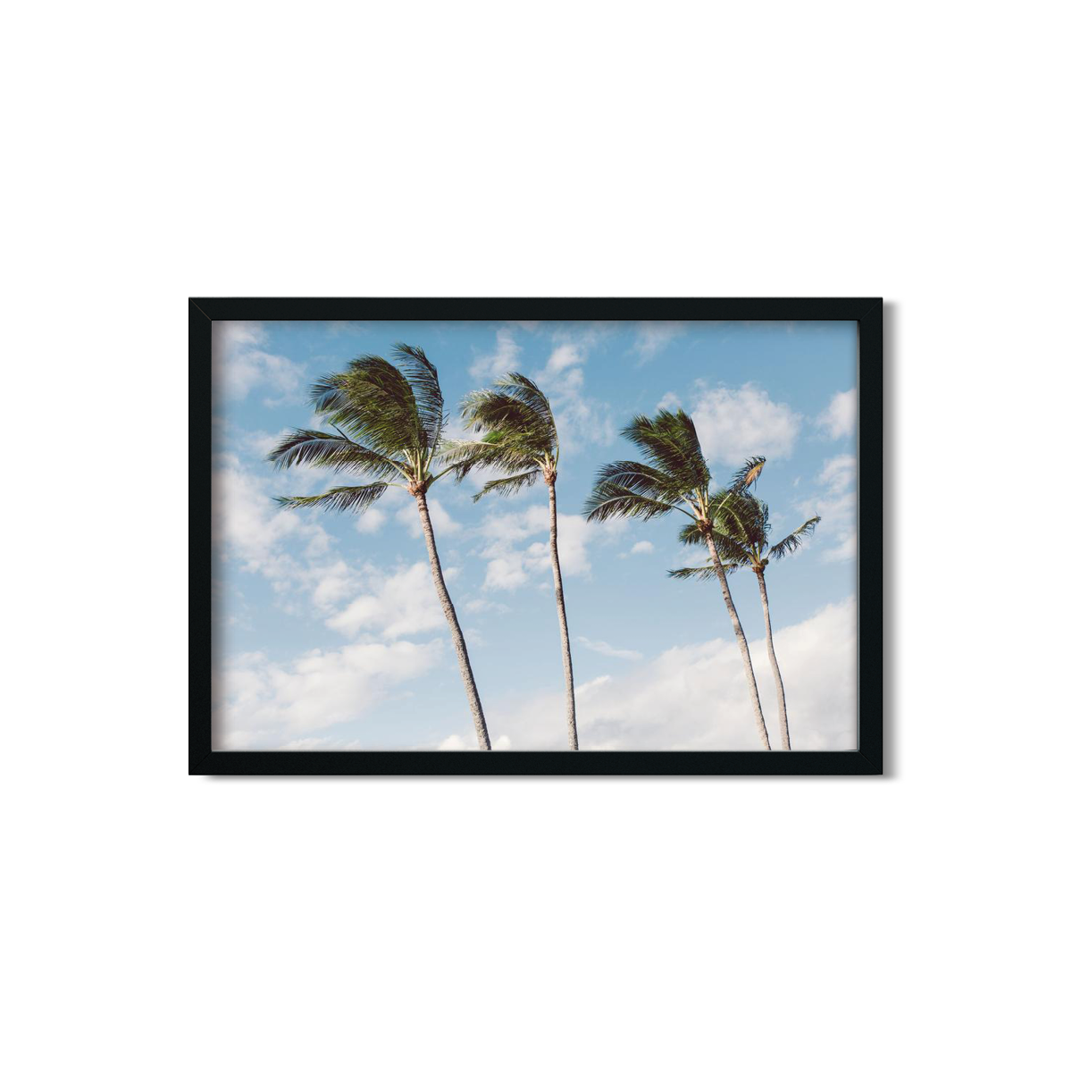 HAWAIIAN PALM TREES NO. 14