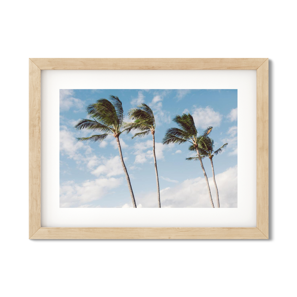 HAWAIIAN PALM TREES NO. 14