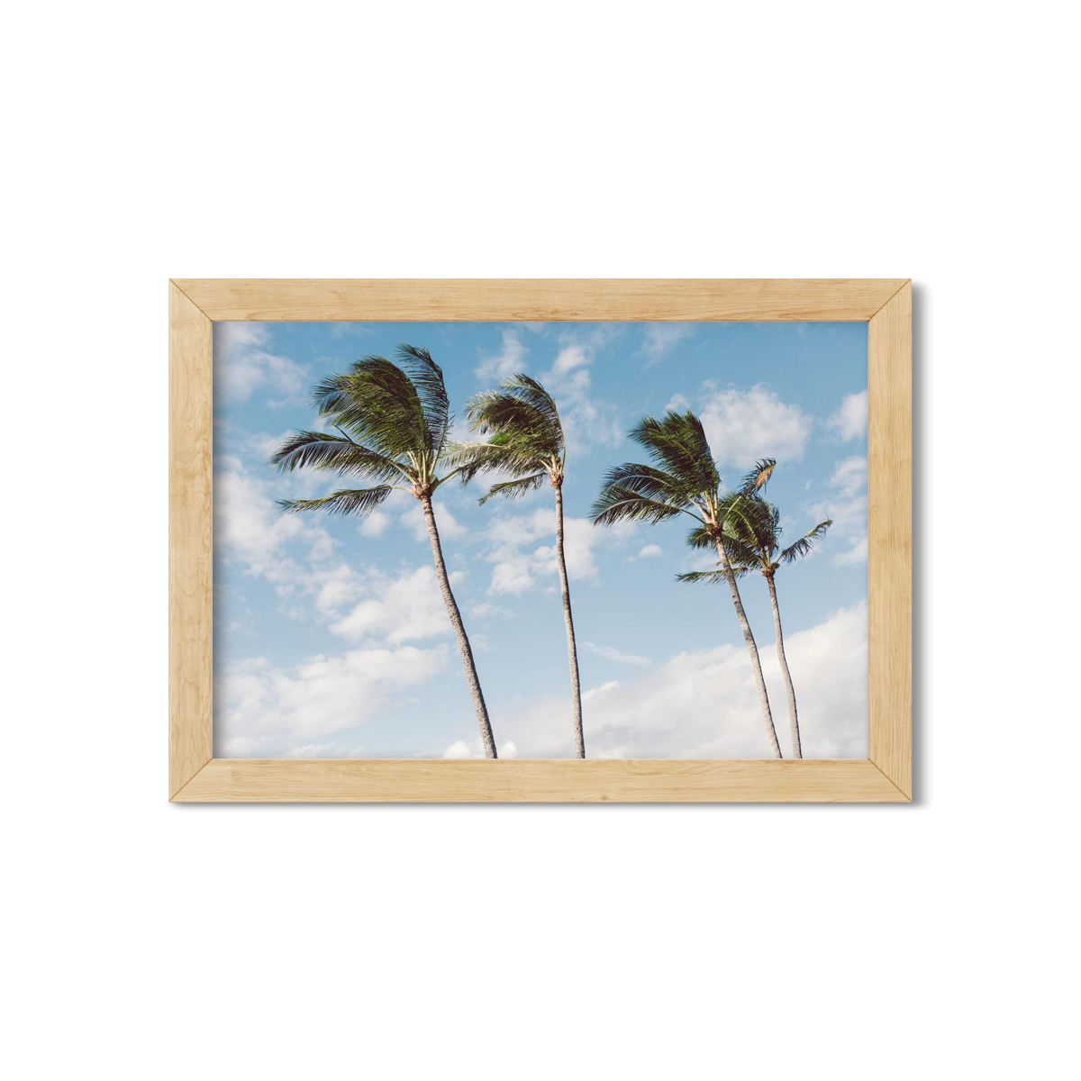 HAWAIIAN PALM TREES NO. 14