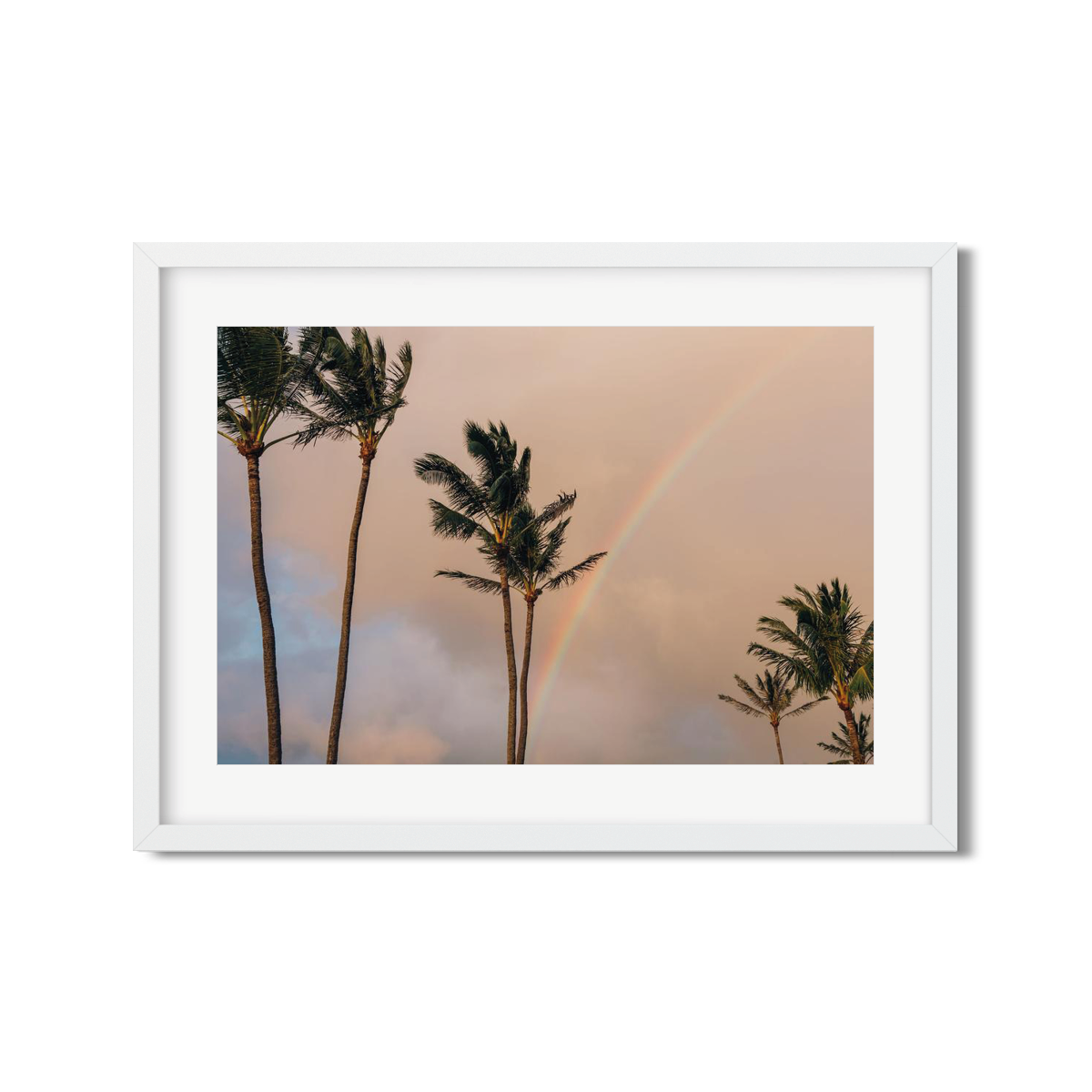 HAWAIIAN PALM TREES NO. 15