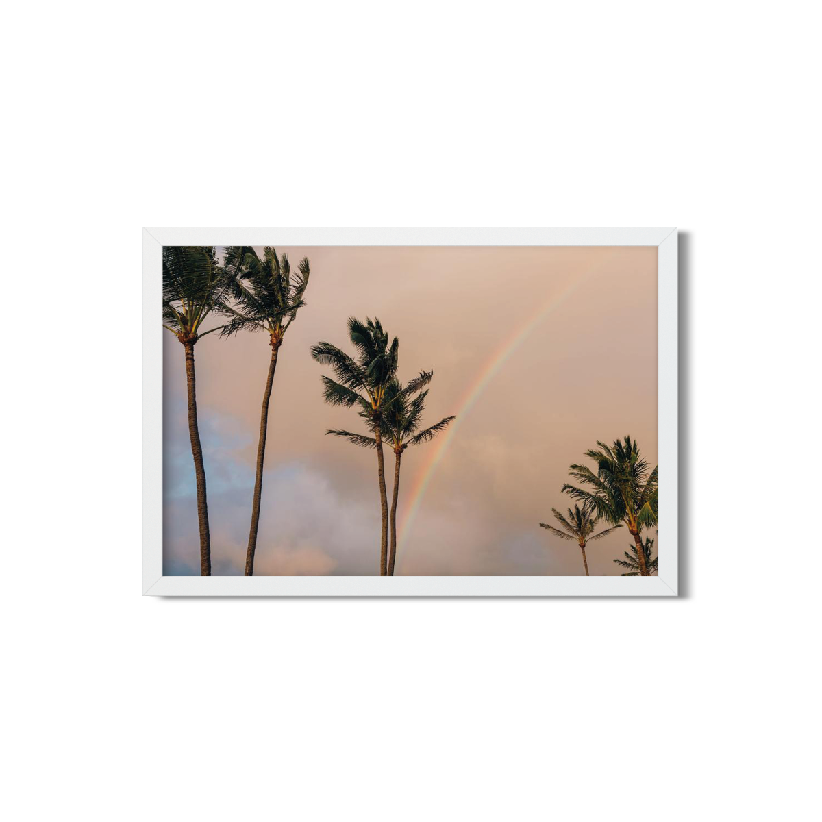 HAWAIIAN PALM TREES NO. 15