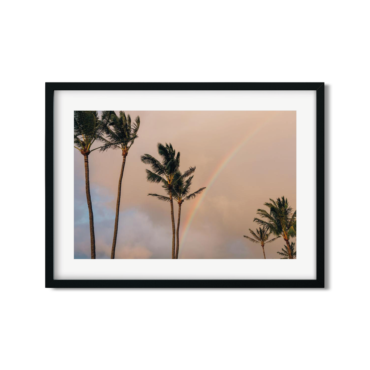 HAWAIIAN PALM TREES NO. 15