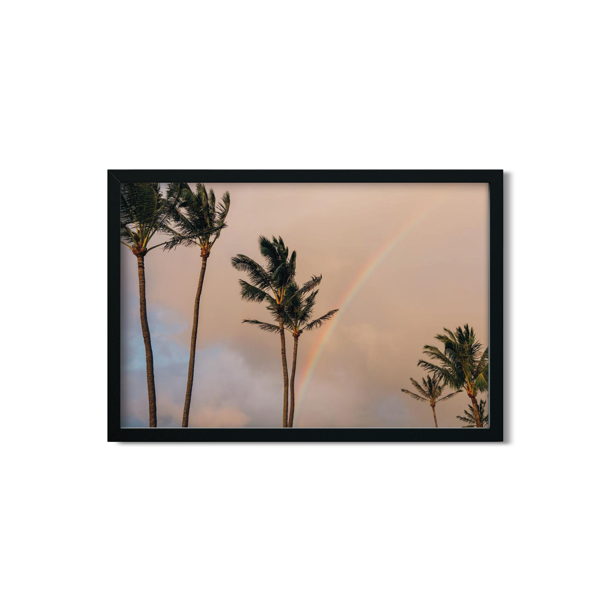 HAWAIIAN PALM TREES NO. 15