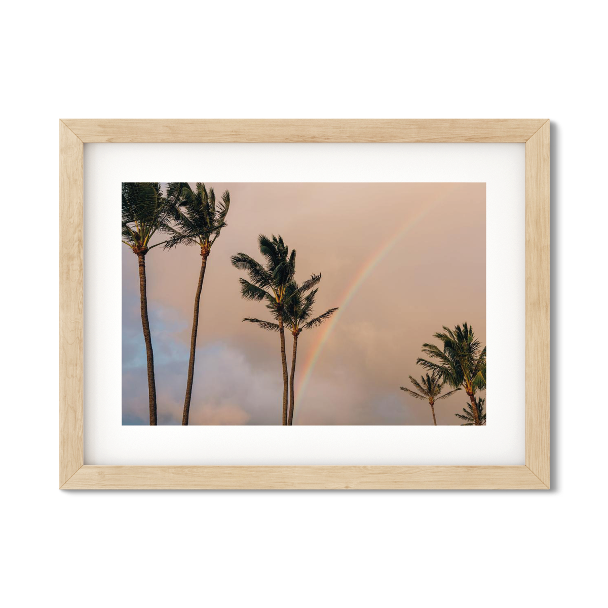 HAWAIIAN PALM TREES NO. 15