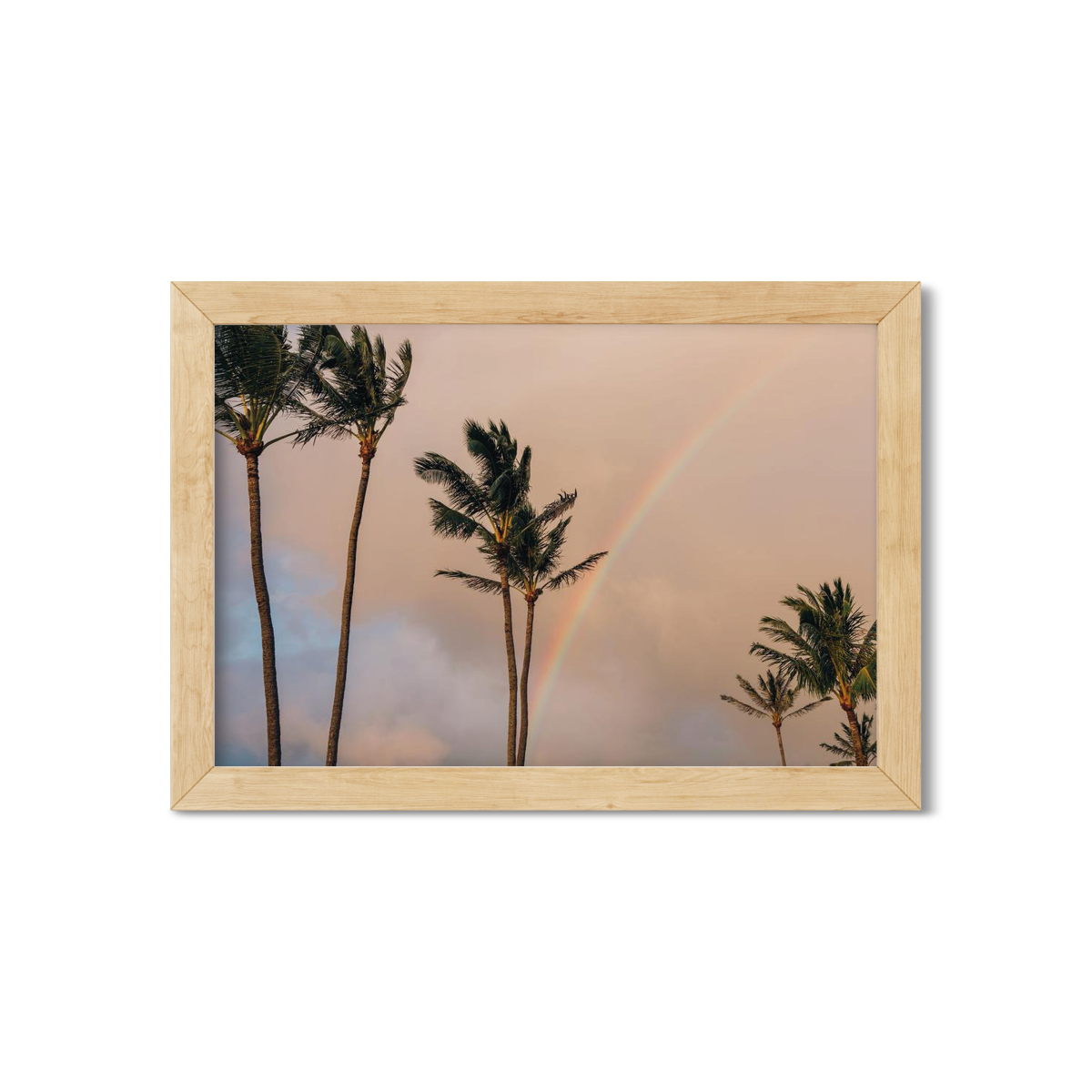 HAWAIIAN PALM TREES NO. 15