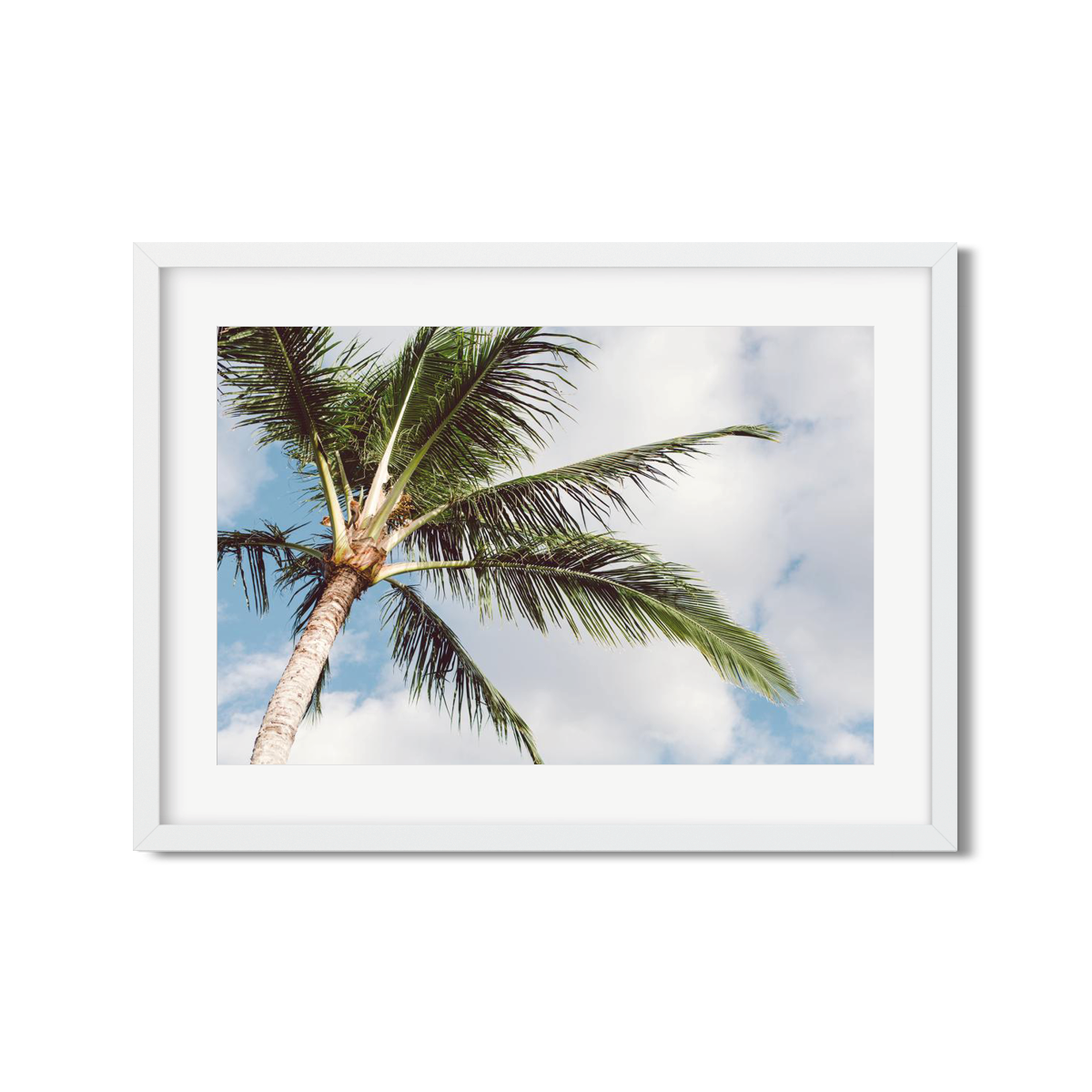 HAWAIIAN PALM TREES NO. 16