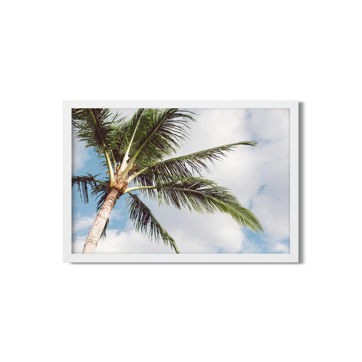 HAWAIIAN PALM TREES NO. 16