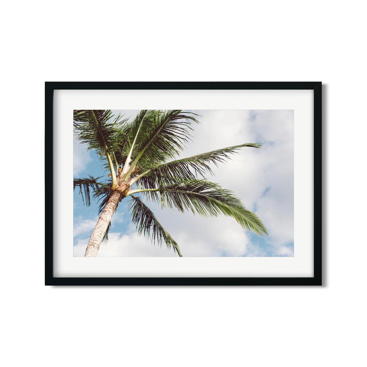 HAWAIIAN PALM TREES NO. 16