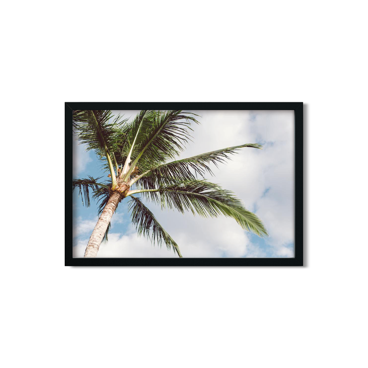 HAWAIIAN PALM TREES NO. 16