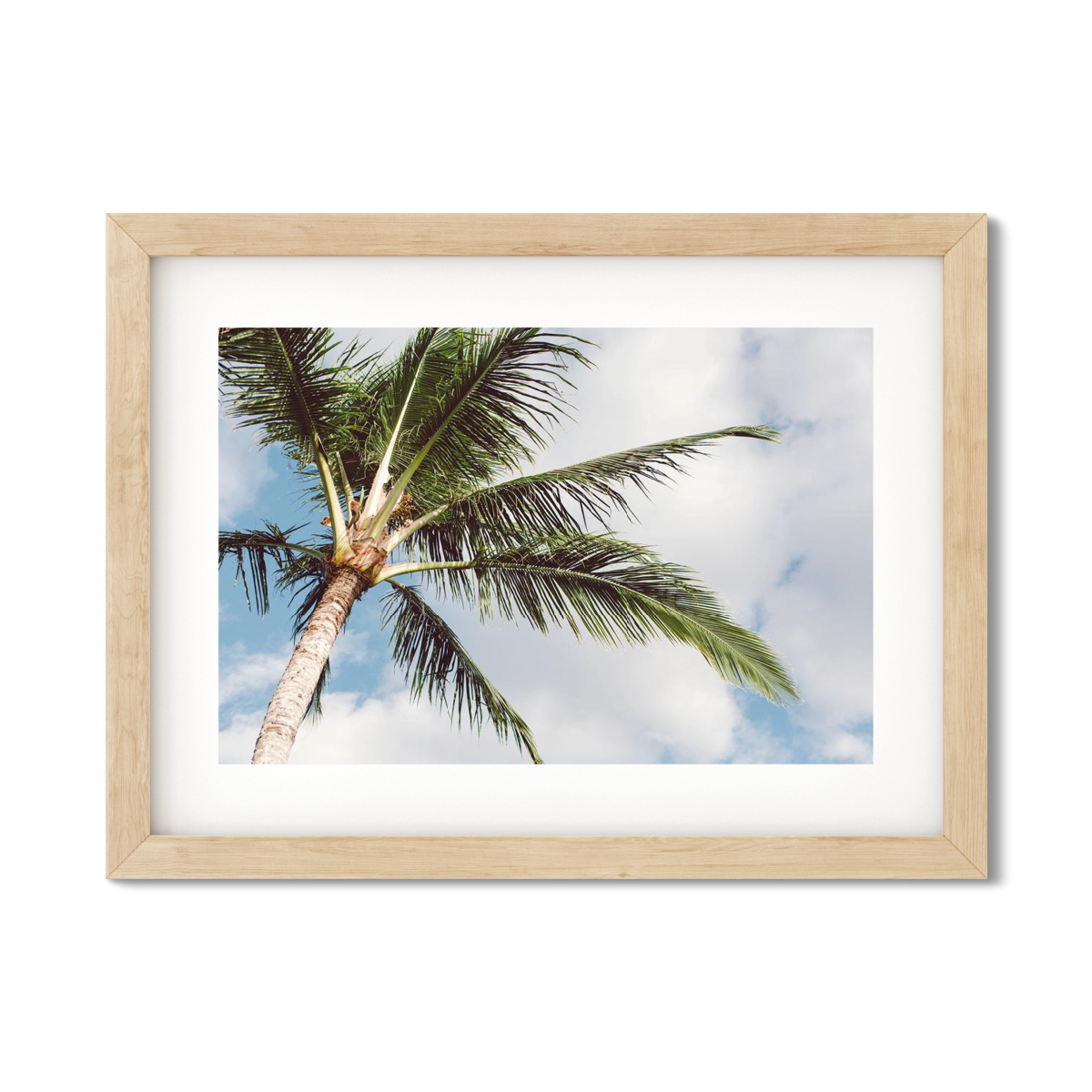 HAWAIIAN PALM TREES NO. 16