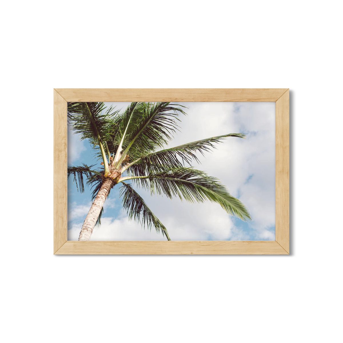 HAWAIIAN PALM TREES NO. 16