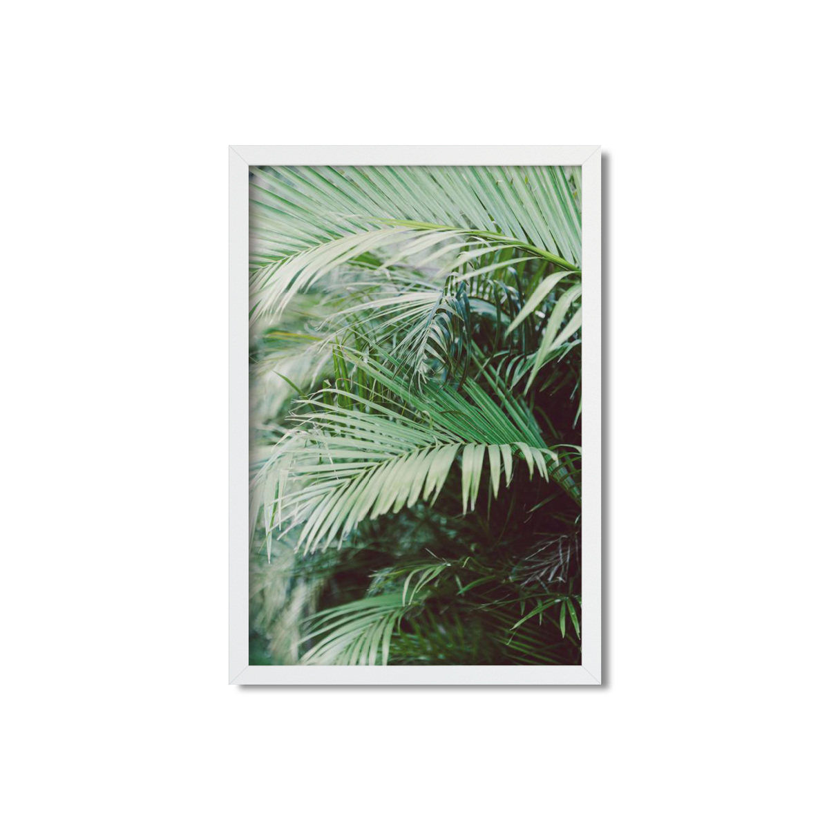 HAWAIIAN PALM TREES NO. 18