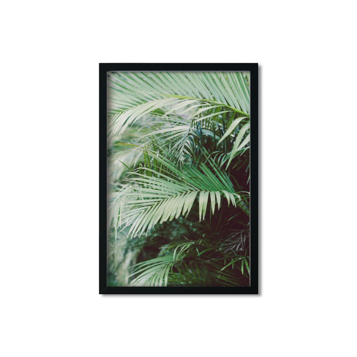HAWAIIAN PALM TREES NO. 18