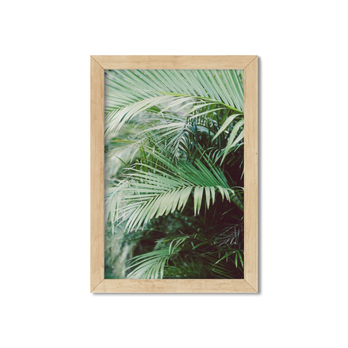 HAWAIIAN PALM TREES NO. 18