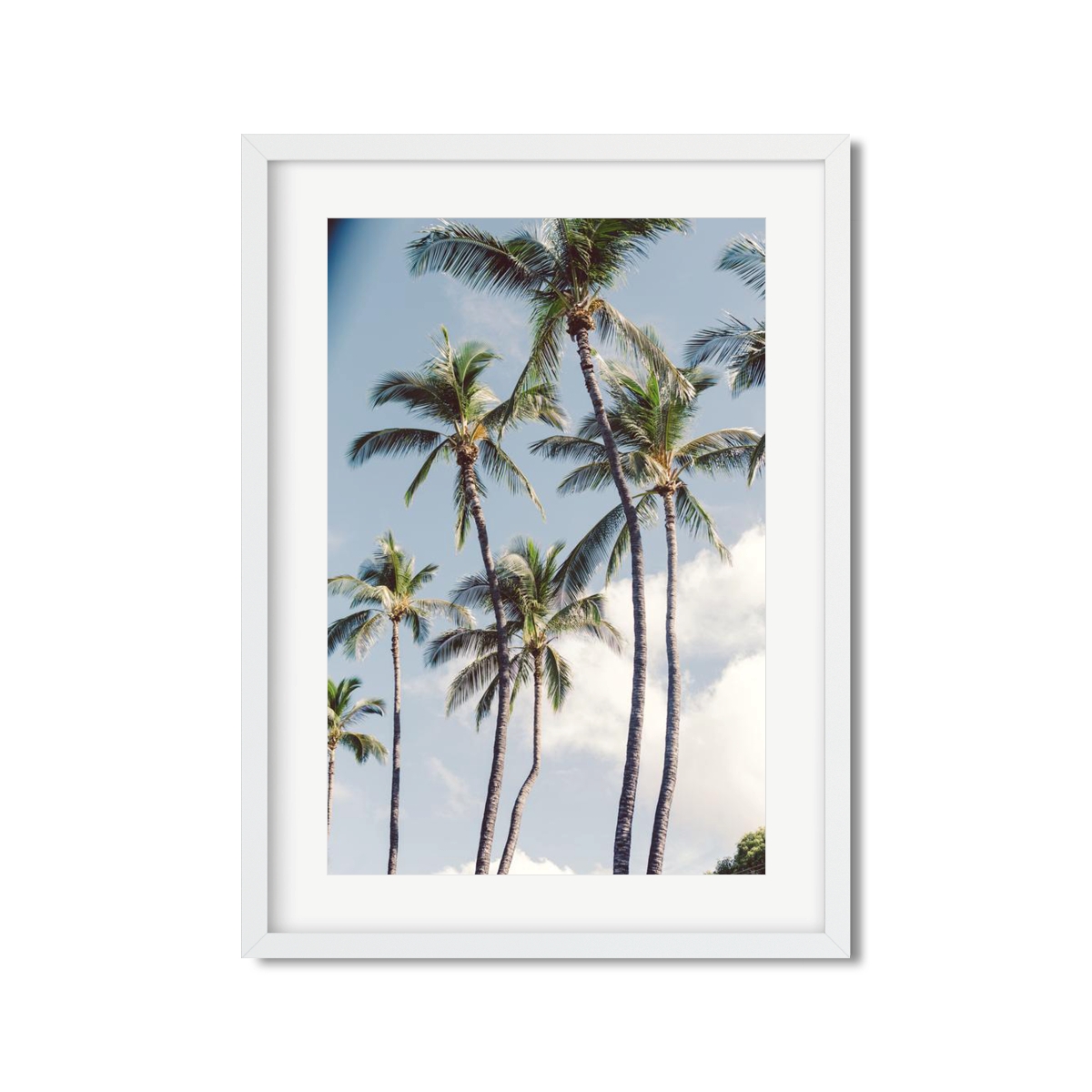 HAWAIIAN PALM TREES NO. 3