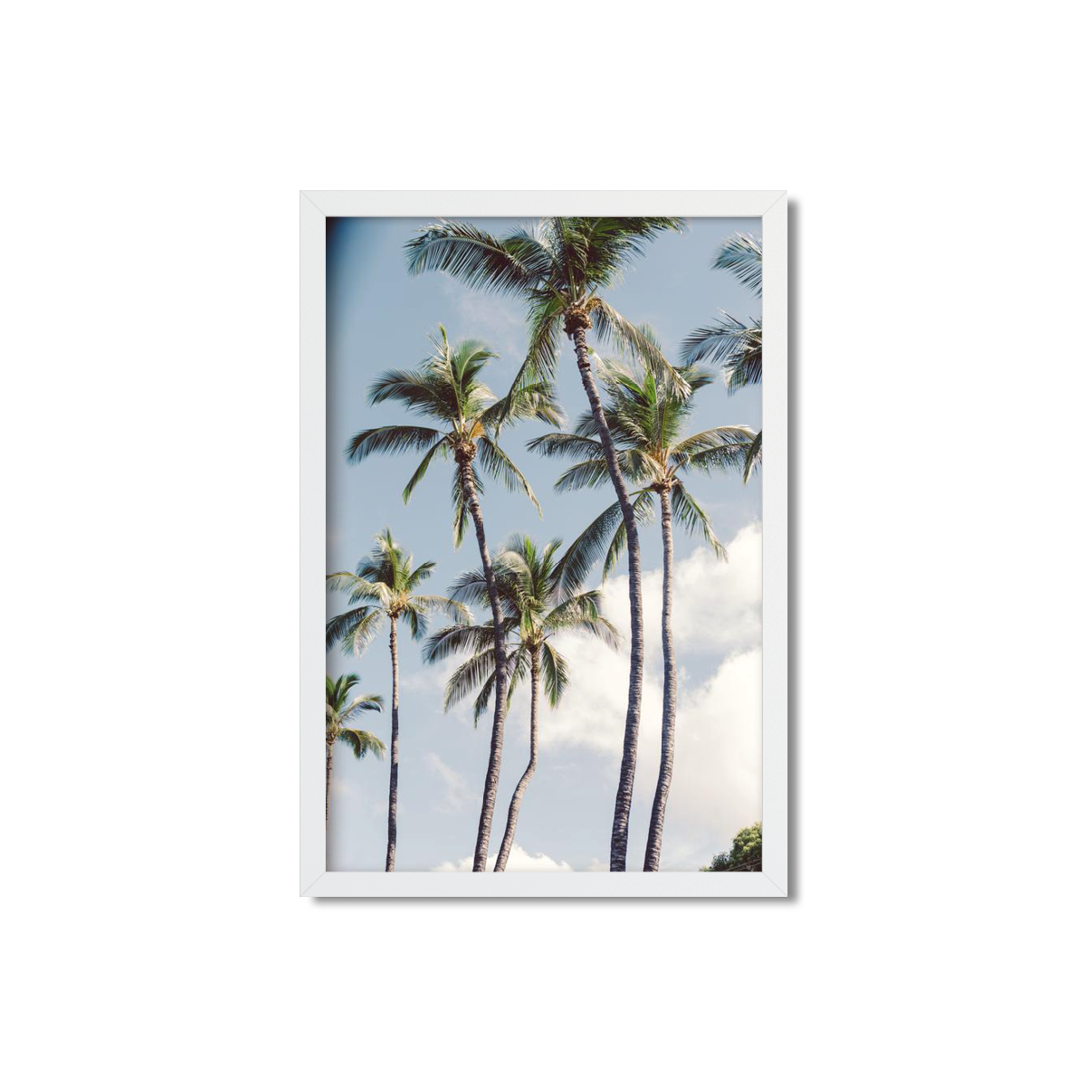 HAWAIIAN PALM TREES NO. 3