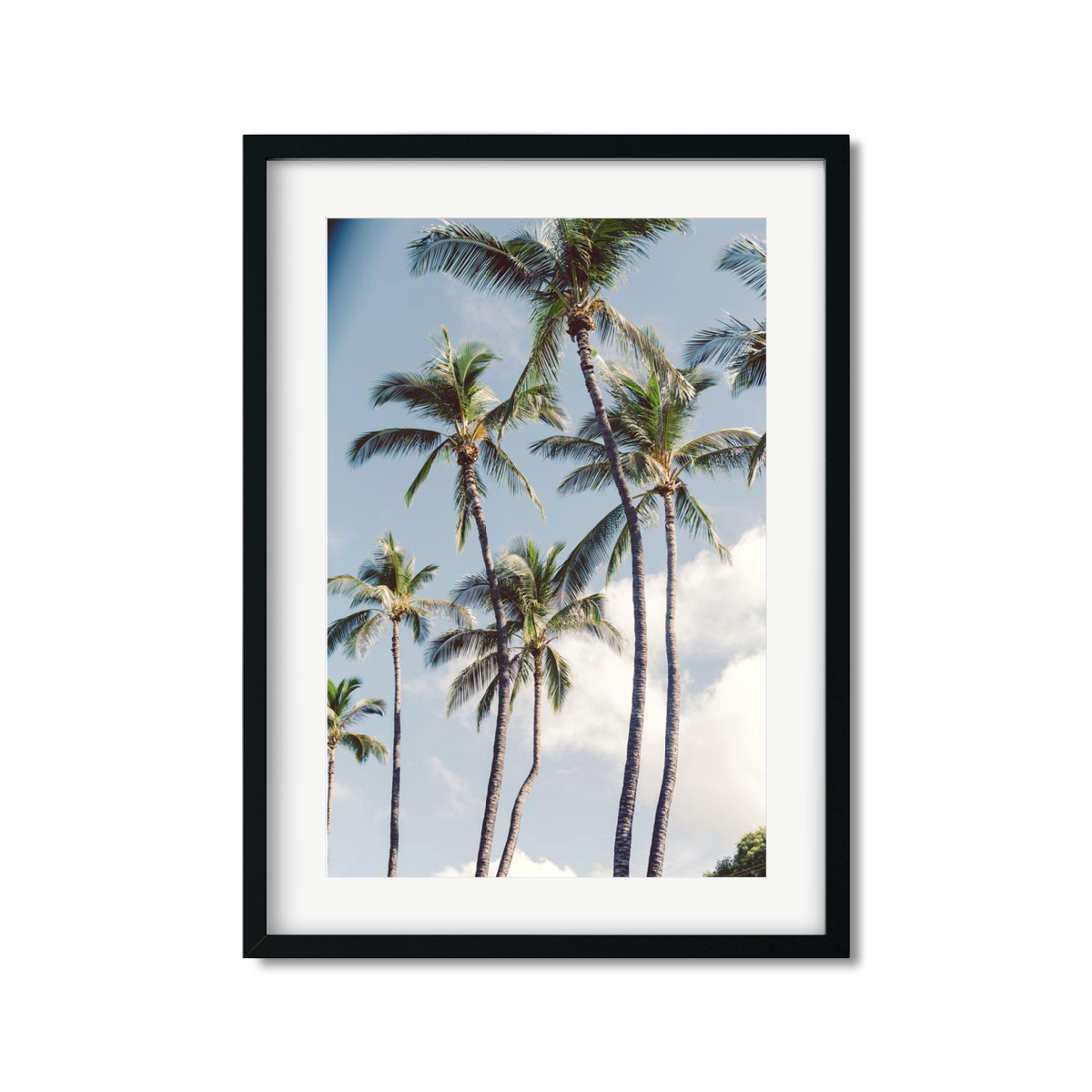 HAWAIIAN PALM TREES NO. 3