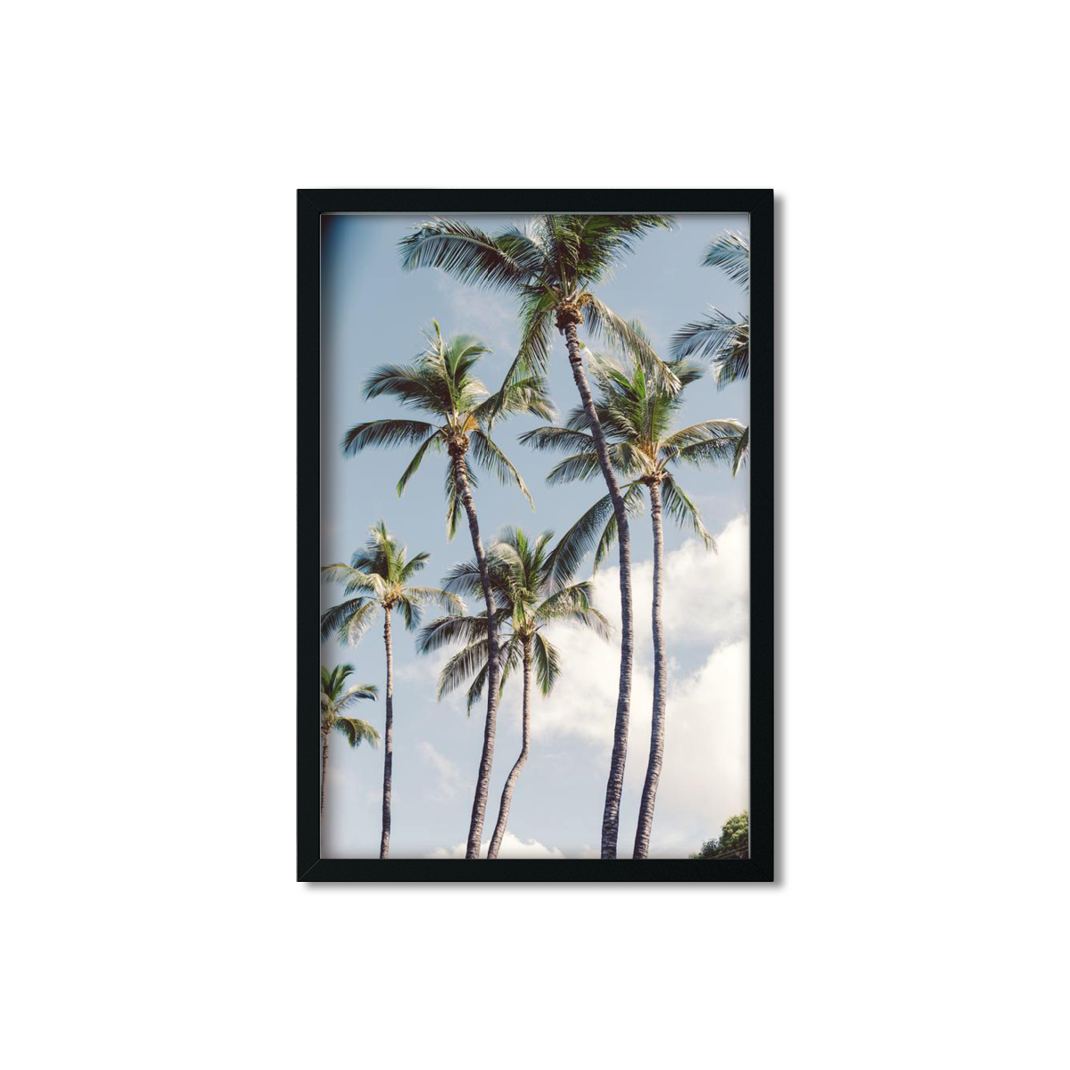 HAWAIIAN PALM TREES NO. 3