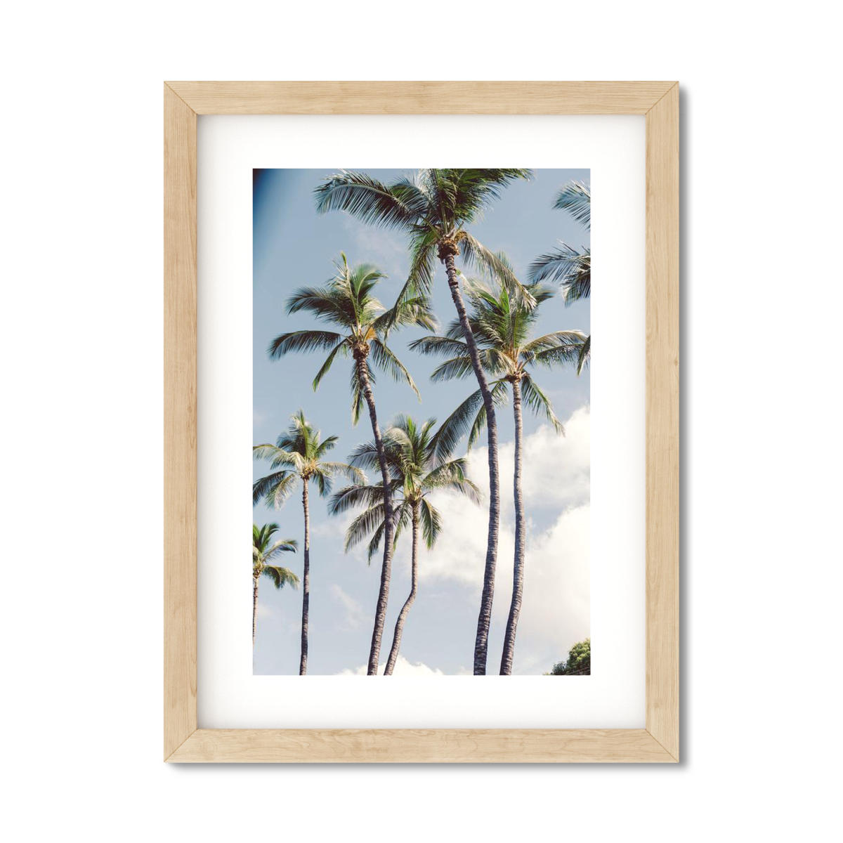 HAWAIIAN PALM TREES NO. 3