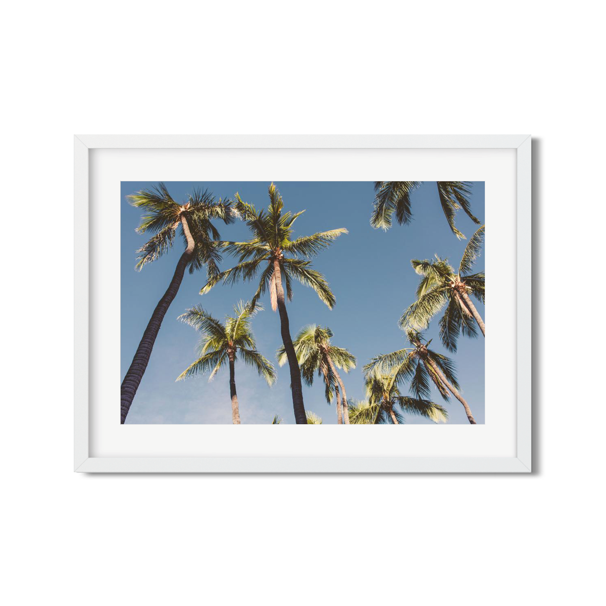 HAWAIIAN PALM TREES NO. 5