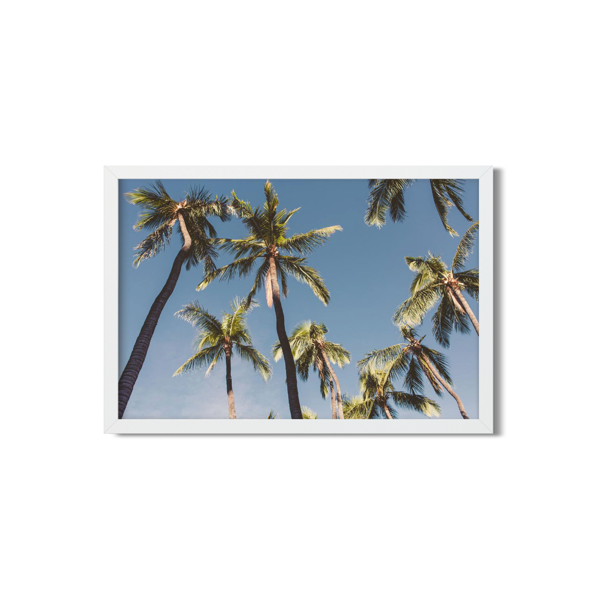 HAWAIIAN PALM TREES NO. 5