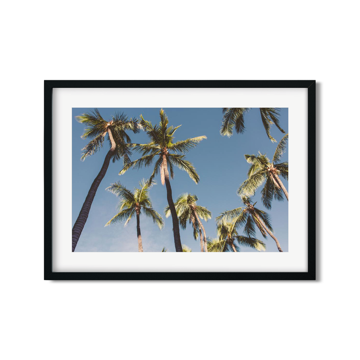 HAWAIIAN PALM TREES NO. 5