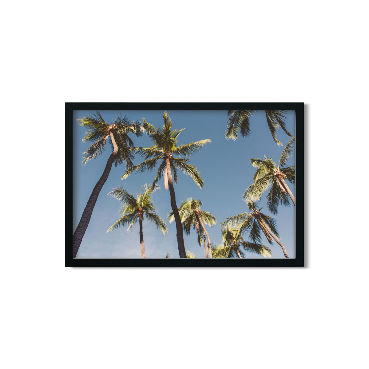 HAWAIIAN PALM TREES NO. 5