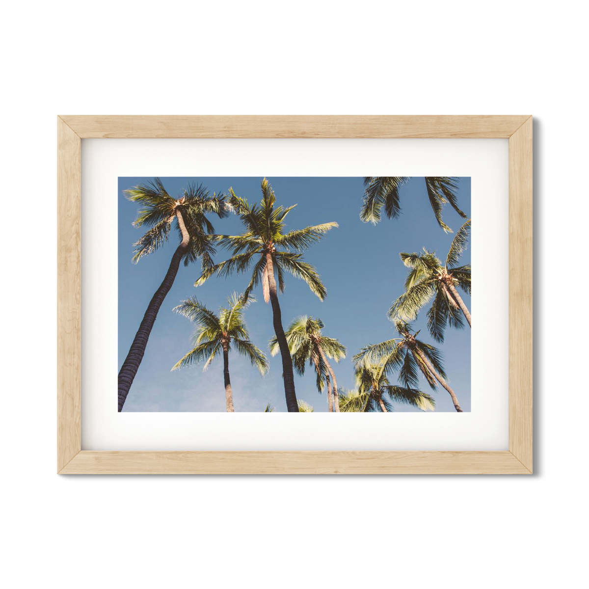 HAWAIIAN PALM TREES NO. 5