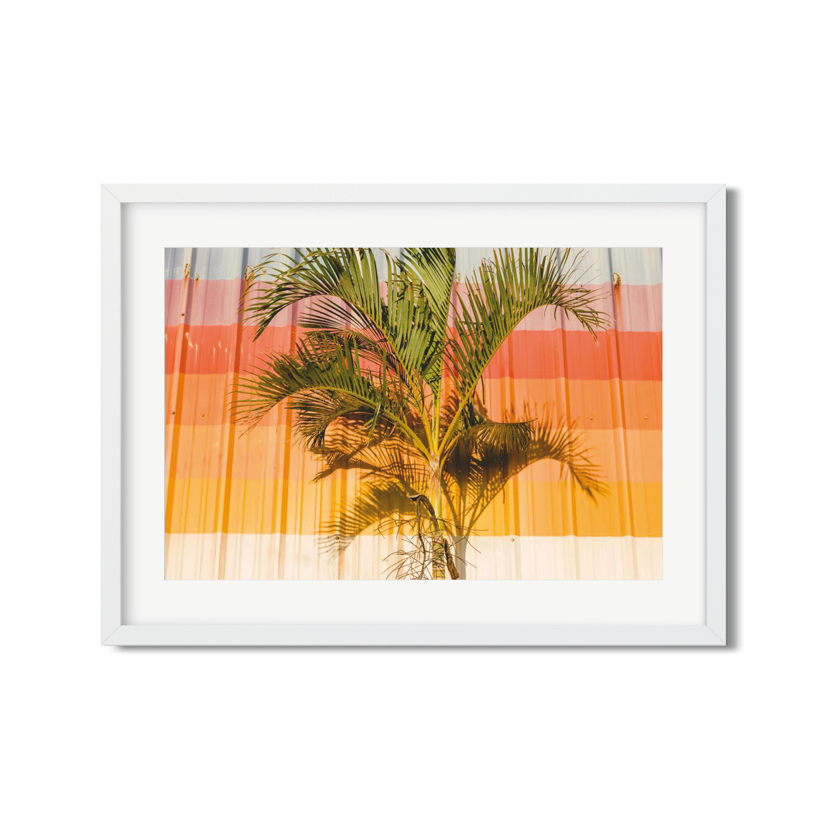 HAWAIIAN PALM TREES NO. 9