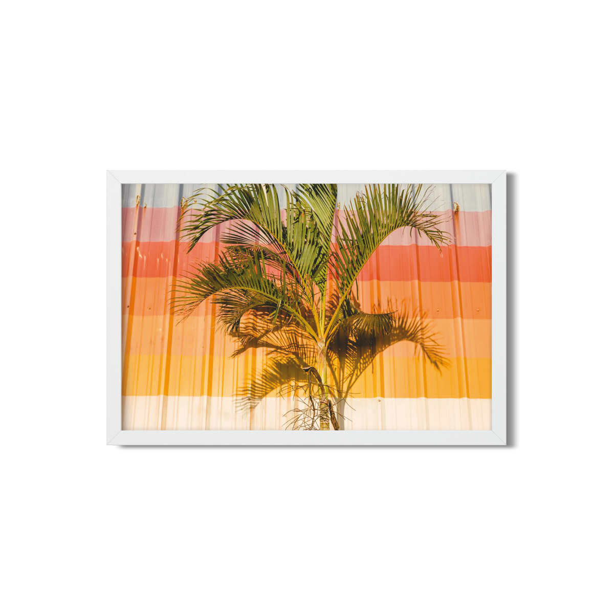 HAWAIIAN PALM TREES NO. 9