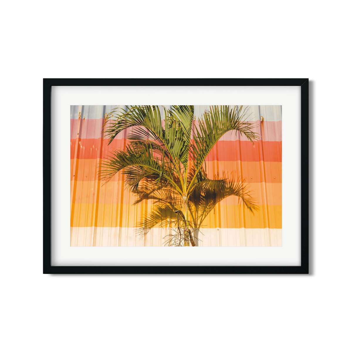 HAWAIIAN PALM TREES NO. 9