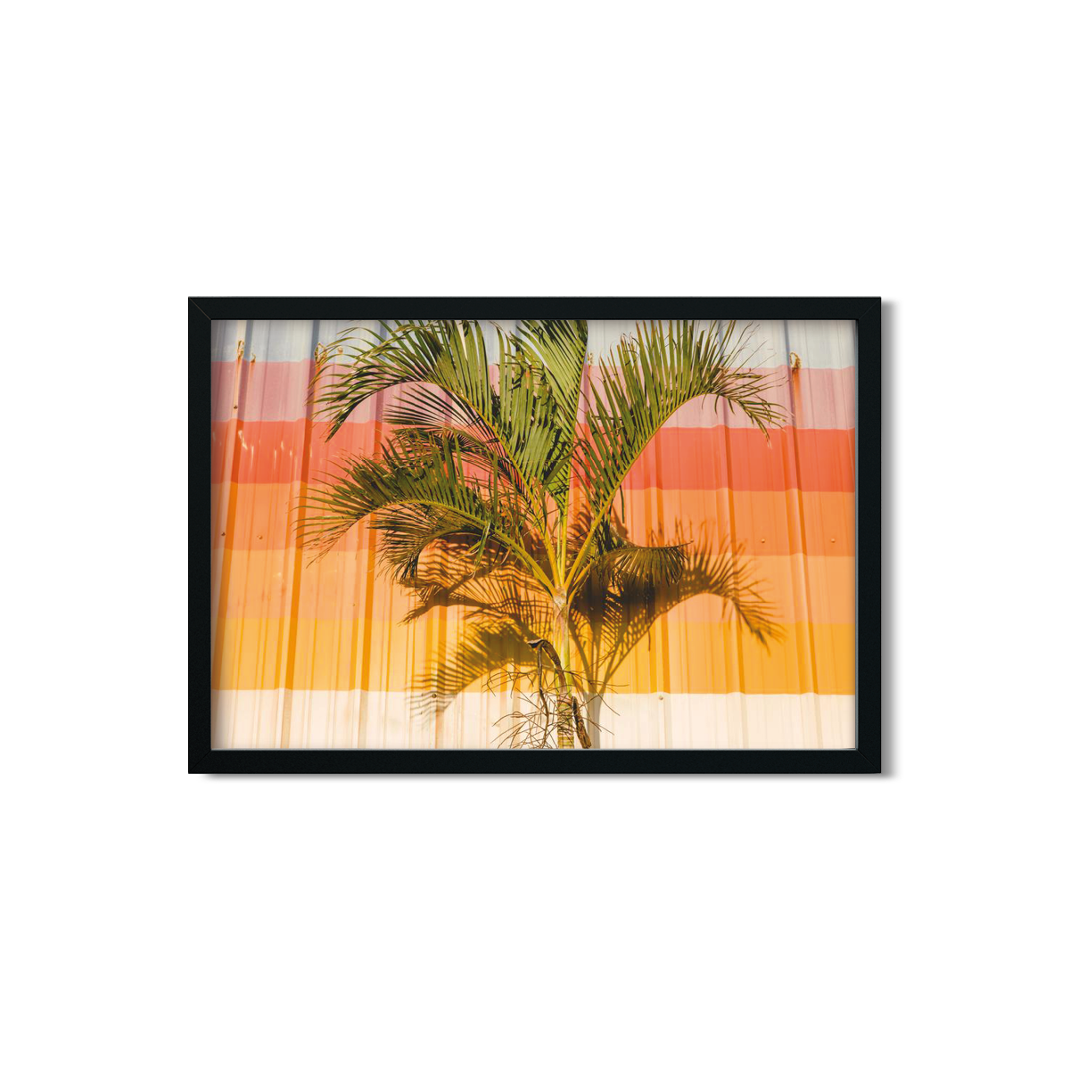 HAWAIIAN PALM TREES NO. 9