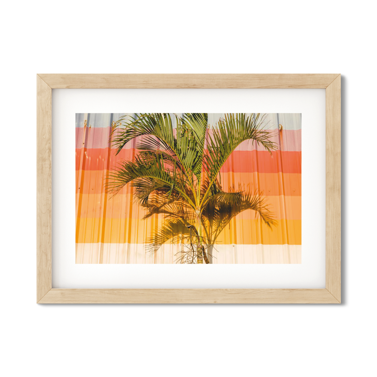 HAWAIIAN PALM TREES NO. 9