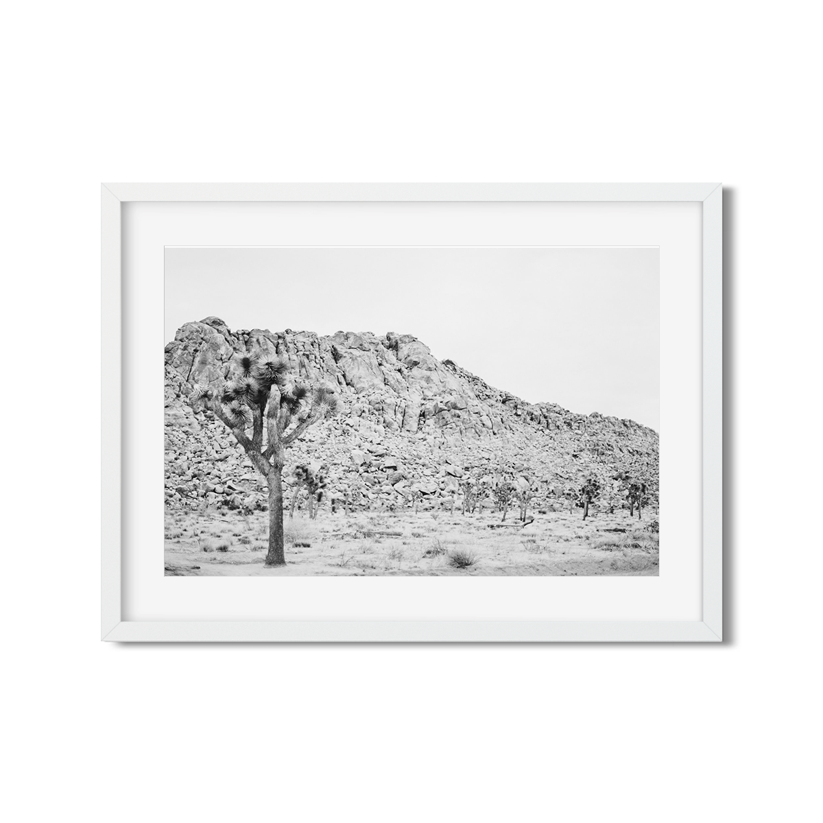JOSHUA TREE NO. 3